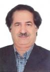 Seyed Ahmad Mirbagheri WEB